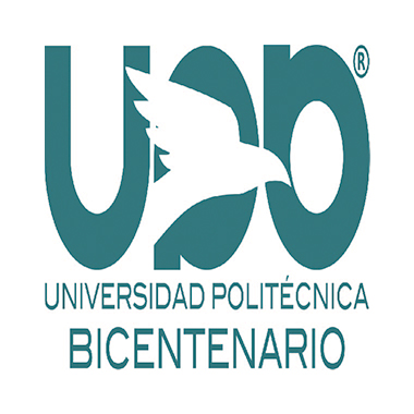UNIVERSIDAD POLITÉCNICA DEL BICENTENARIO