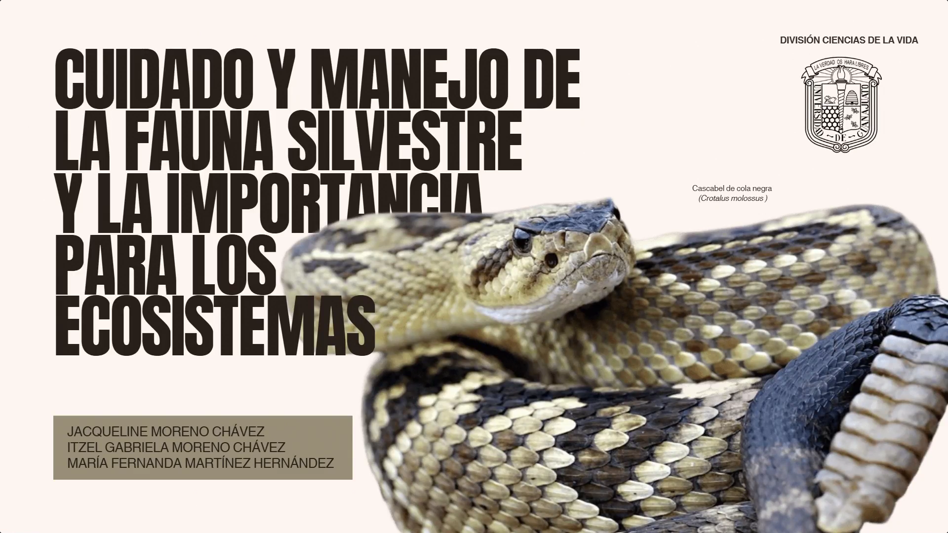 Cuidado y Manejo de la Fauna Silvestre y la Importancia para los Ecosistemas